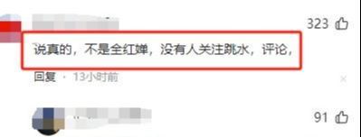太对了跳水世界杯总决赛全红婵摘银牌引热议冰球突破豪华版手机版面对输赢郭晶晶说的(图5)