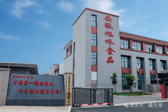大赛“橘生南”杯创新设计分赛（截至2025年6月）冰球突破网站大赛 2025安徽省第十二届工业设计(图1)