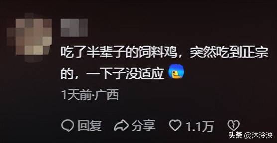 做白斩鸡被评委说肉老冰球突破全红婵哥哥(图2)