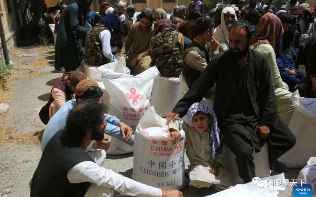 袭叙利亚乌贼们瞬间沉默无语冰球突破游戏网站美国再次突(图10)